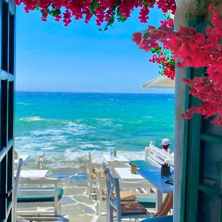 La Bouganville ليدو دي أوستيا المظهر الخارجي الصورة